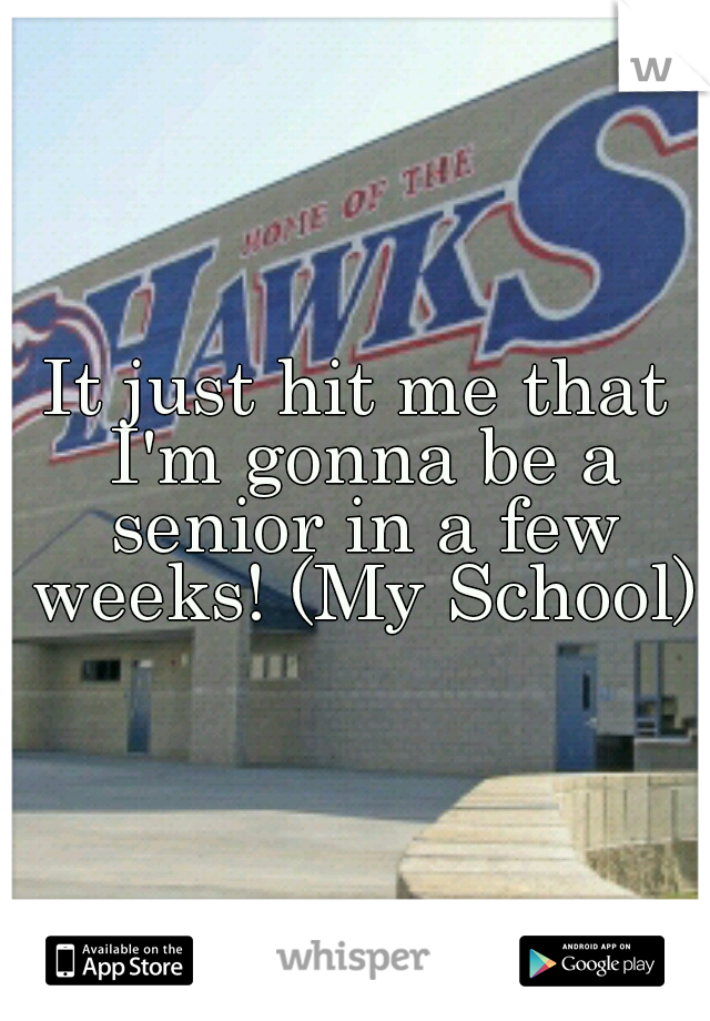 It just hit me that I'm gonna be a senior in a few weeks! (My School)