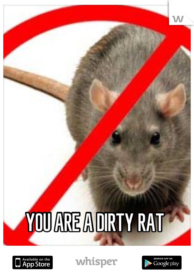 YOU ARE A DIRTY RAT