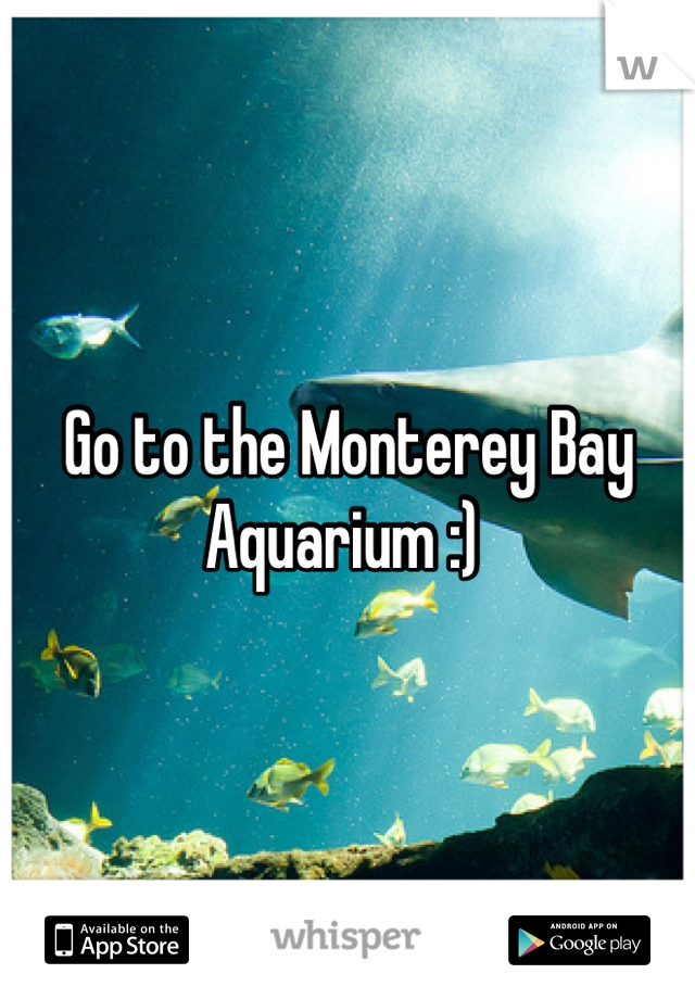 Go to the Monterey Bay Aquarium :) 