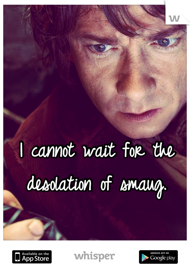 I cannot wait for the desolation of smaug.