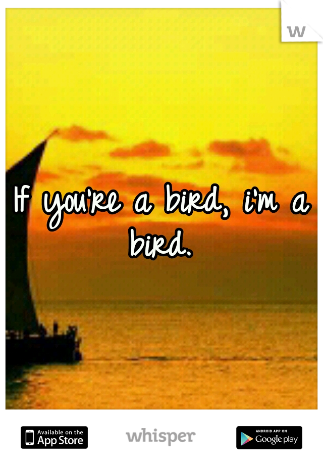 If you're a bird, i'm a bird. 