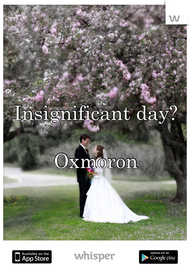 Insignificant day?

Oxmoron
