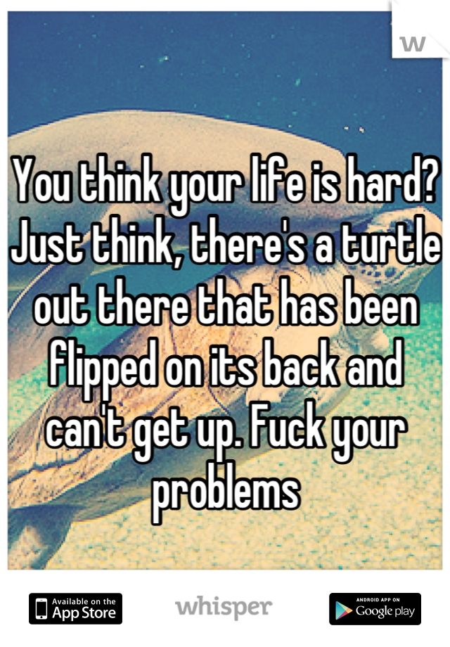 You think your life is hard? Just think, there's a turtle out there that has been flipped on its back and can't get up. Fuck your problems
