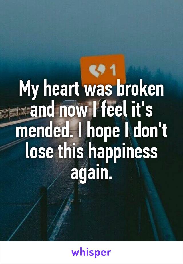 My heart was broken and now I feel it's mended. I hope I don't lose this happiness again.