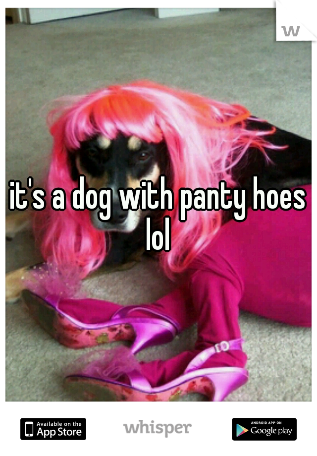 it's a dog with panty hoes lol 