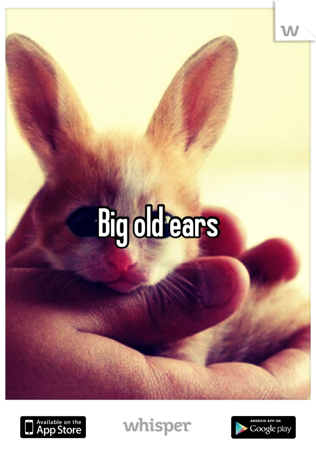 Big old ears