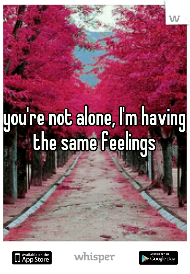 you're not alone, I'm having the same feelings 