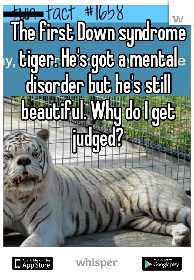 The first Down syndrome tiger. He's got a mental disorder but he's still beautiful. Why do I get judged?