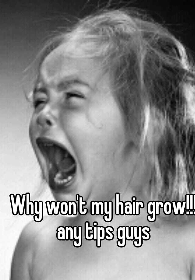 why-won-t-my-hair-grow-any-tips-guys