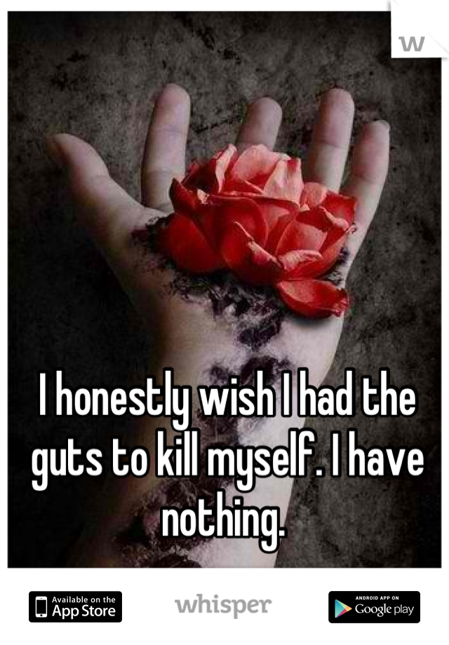 I honestly wish I had the guts to kill myself. I have nothing. 