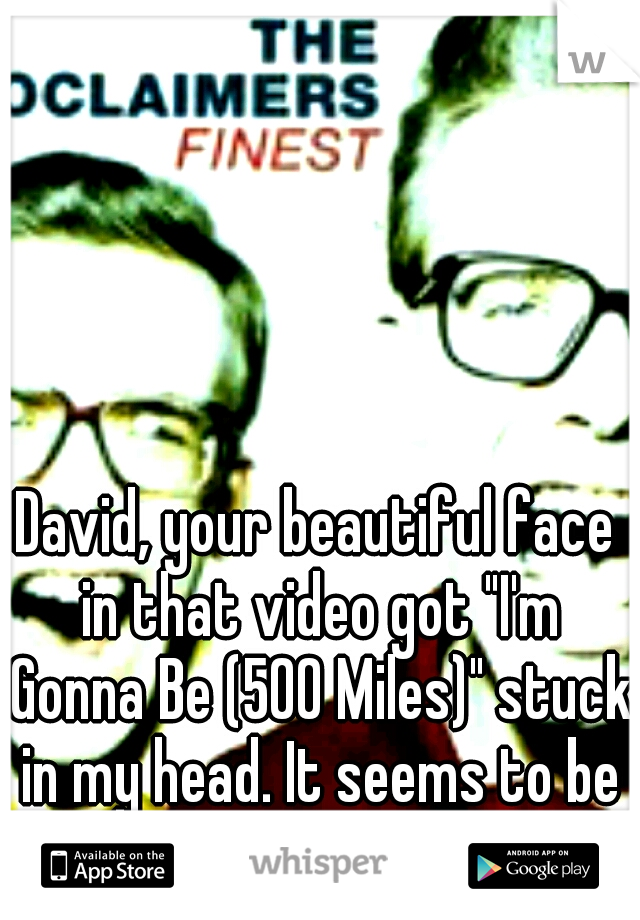 David, your beautiful face in that video got "I'm Gonna Be (500 Miles)" stuck in my head. It seems to be permanent.