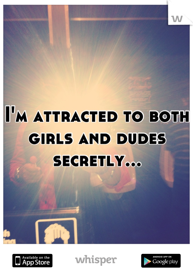 I'm attracted to both girls and dudes secretly...