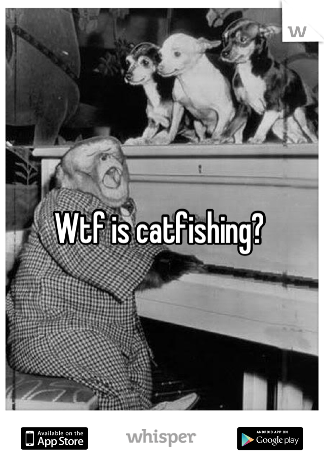 Wtf is catfishing? 