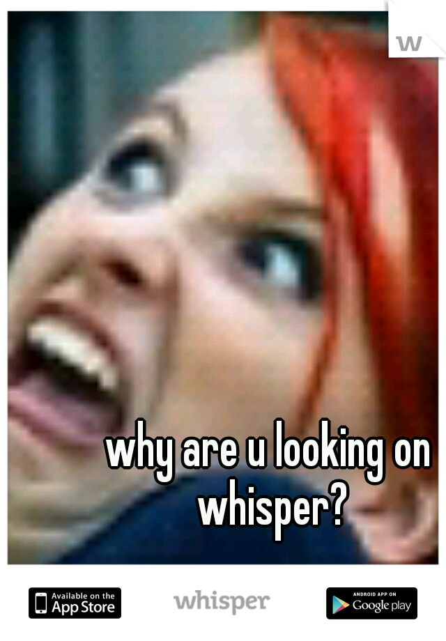 why are u looking on whisper?