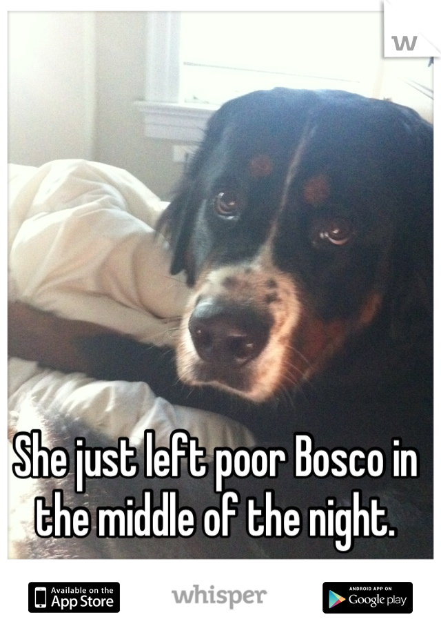 She just left poor Bosco in the middle of the night.
