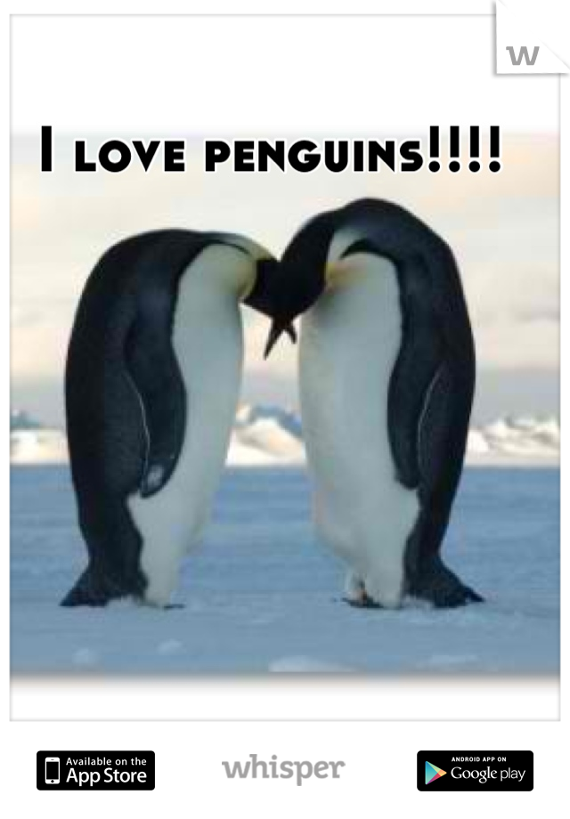 I love penguins!!!! 