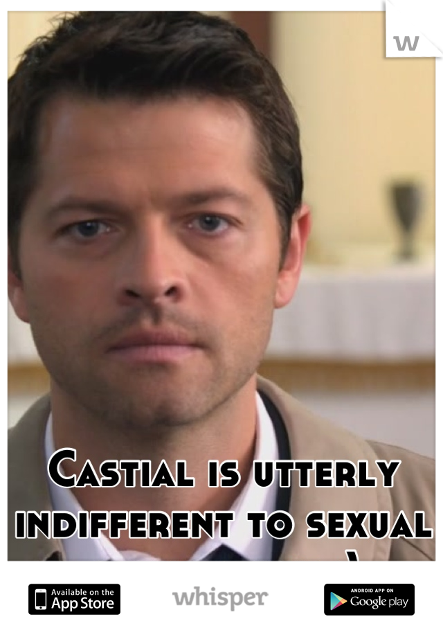 Castial is utterly indifferent to sexual orientation :)