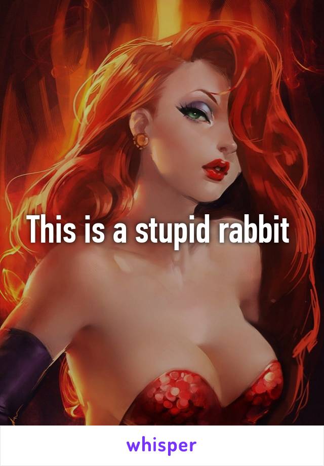This is a stupid rabbit 