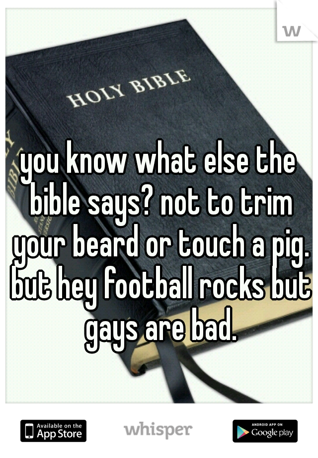 you know what else the bible says? not to trim your beard or touch a pig. but hey football rocks but gays are bad.