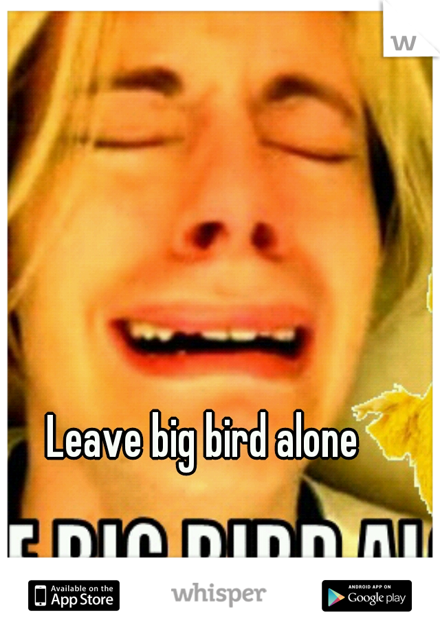 Leave big bird alone