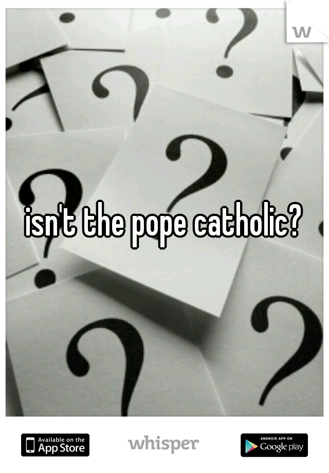 isn't the pope catholic?