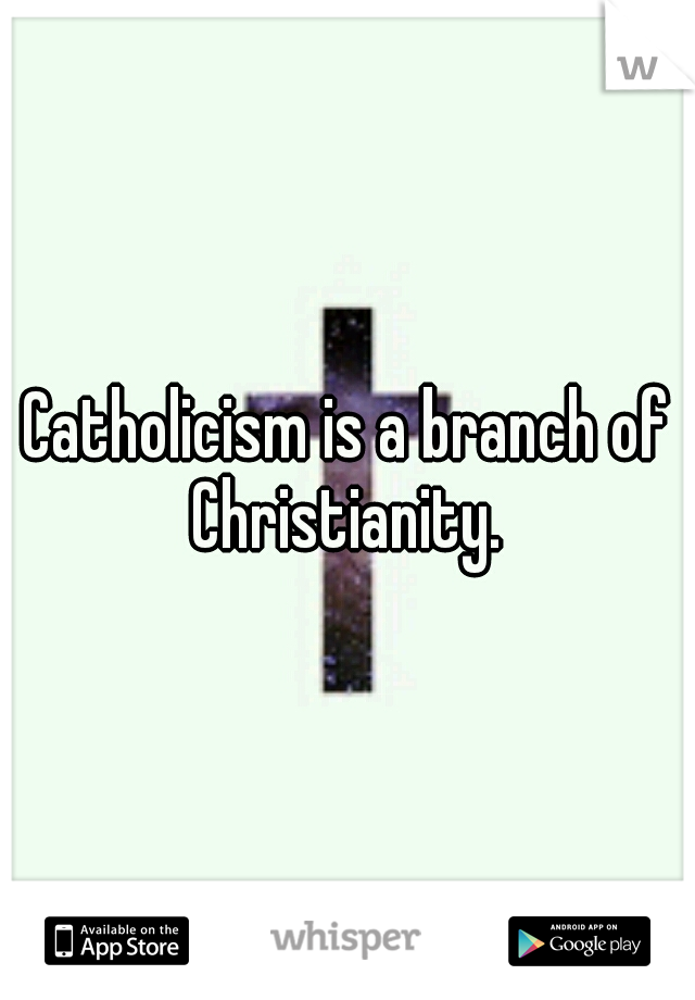 Catholicism is a branch of Christianity. 