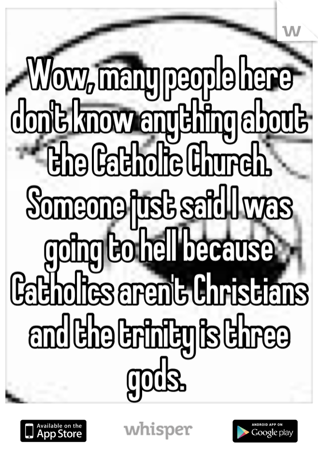 Wow, many people here don't know anything about the Catholic Church.
Someone just said I was going to hell because Catholics aren't Christians and the trinity is three gods. 