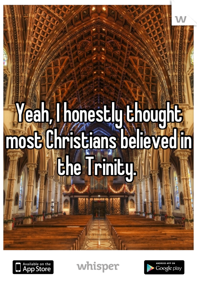 Yeah, I honestly thought most Christians believed in the Trinity. 