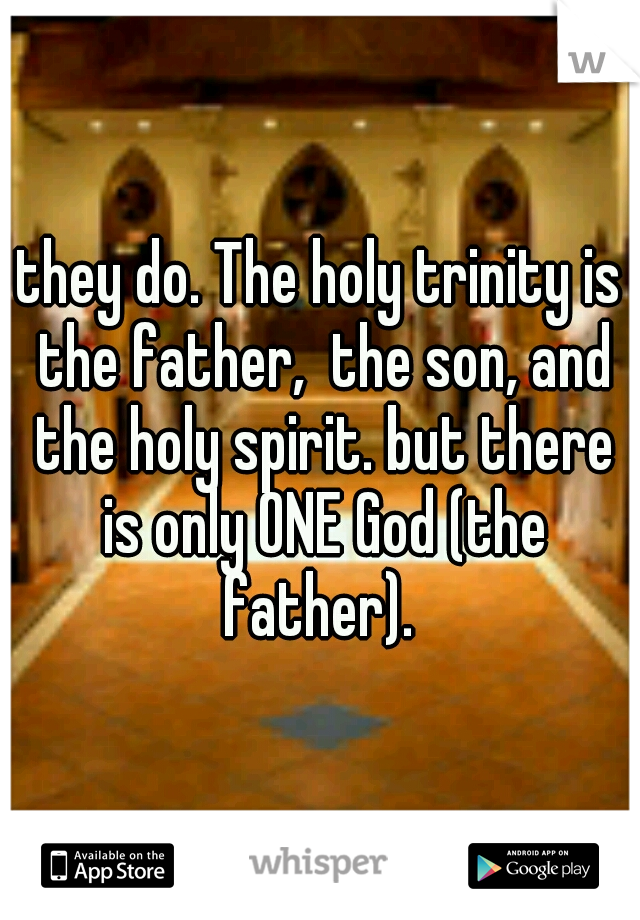 they do. The holy trinity is the father,  the son, and the holy spirit. but there is only ONE God (the father). 