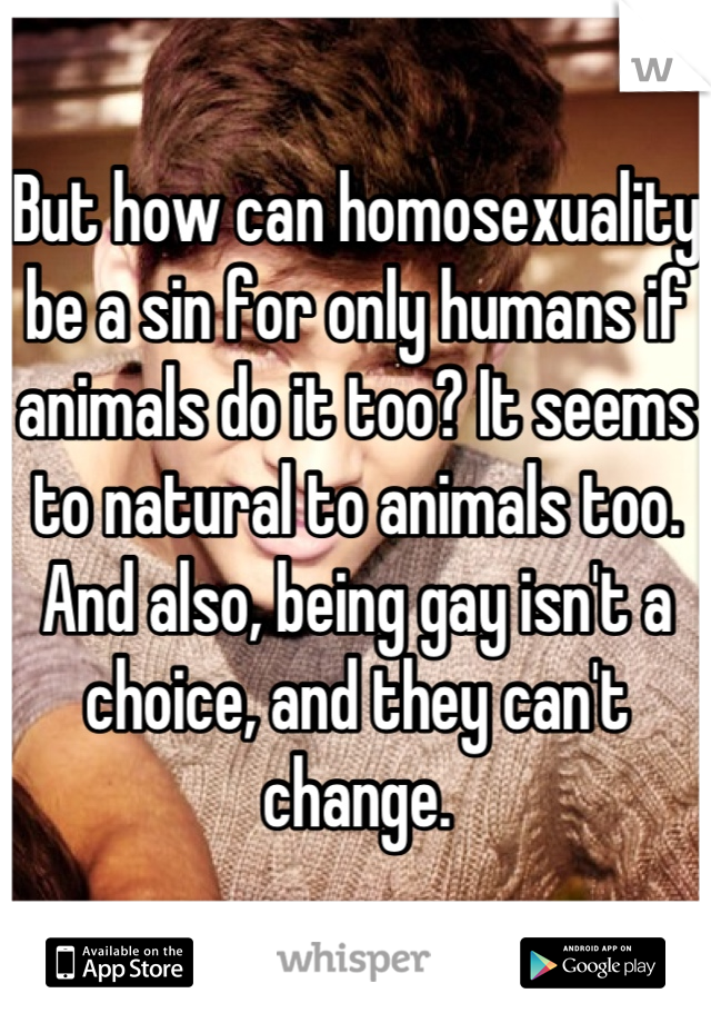 But how can homosexuality be a sin for only humans if animals do it too? It seems to natural to animals too. And also, being gay isn't a choice, and they can't change.