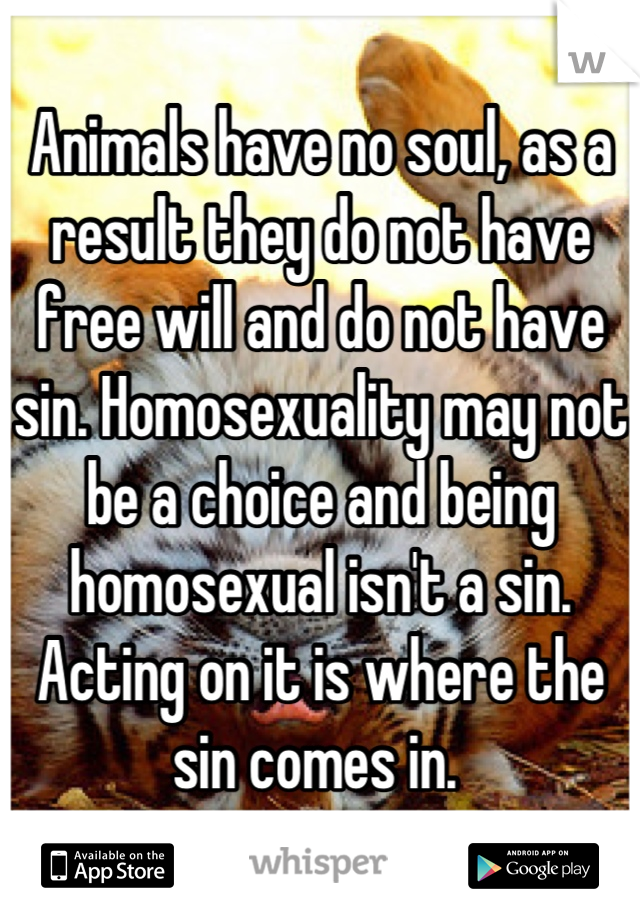 Animals have no soul, as a result they do not have free will and do not have sin. Homosexuality may not be a choice and being homosexual isn't a sin. Acting on it is where the sin comes in. 