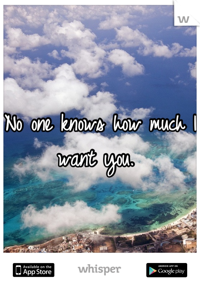 No one knows how much I want you. 