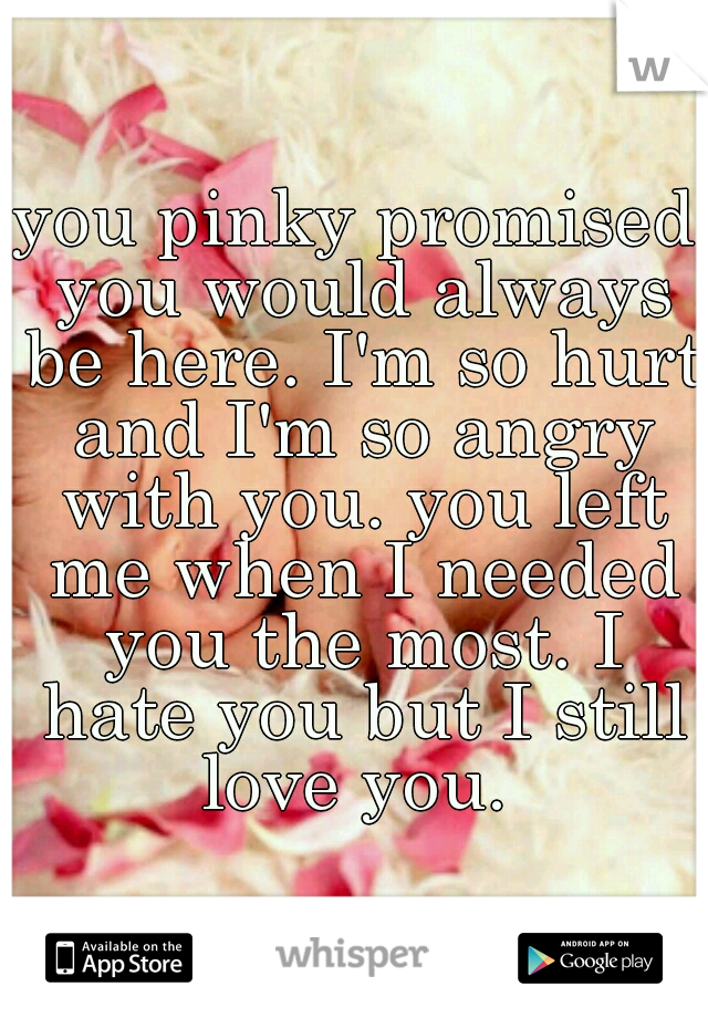 you pinky promised you would always be here. I'm so hurt and I'm so angry with you. you left me when I needed you the most. I hate you but I still love you. 