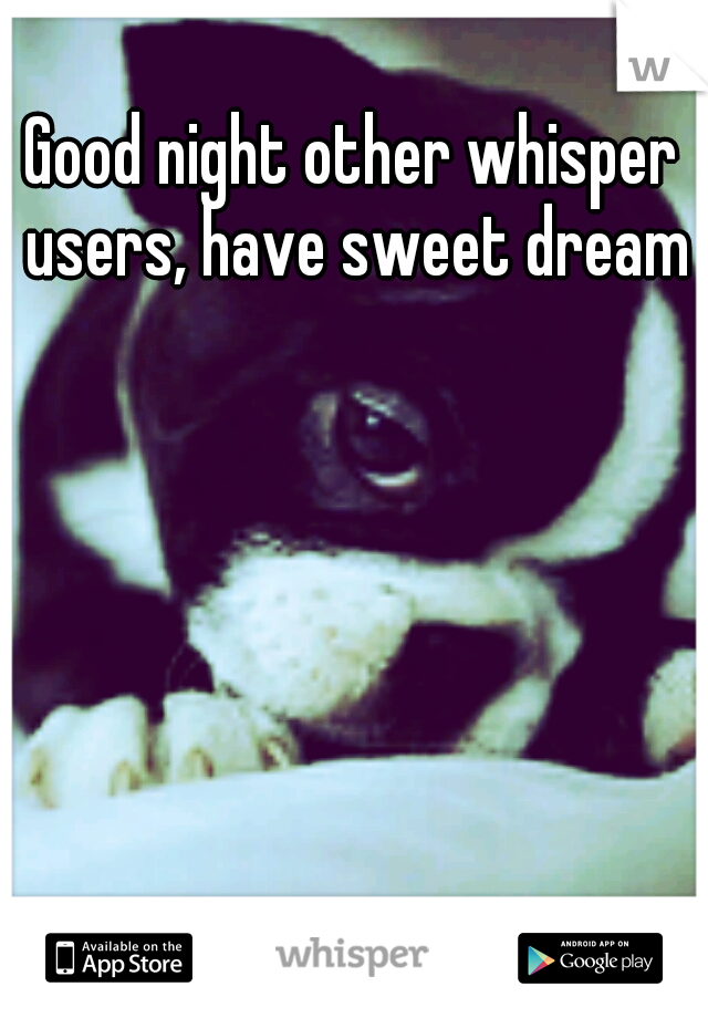 Good night other whisper users, have sweet dreams