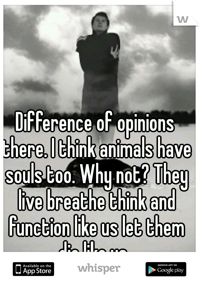 Difference of opinions there. I think animals have souls too. Why not? They live breathe think and function like us let them die like us. 