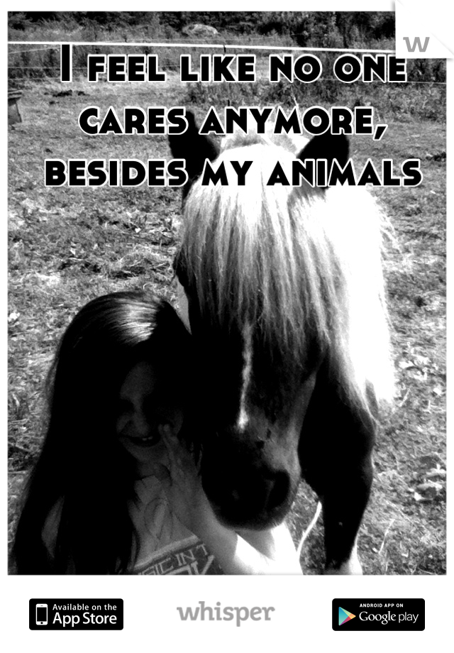 I feel like no one cares anymore, besides my animals