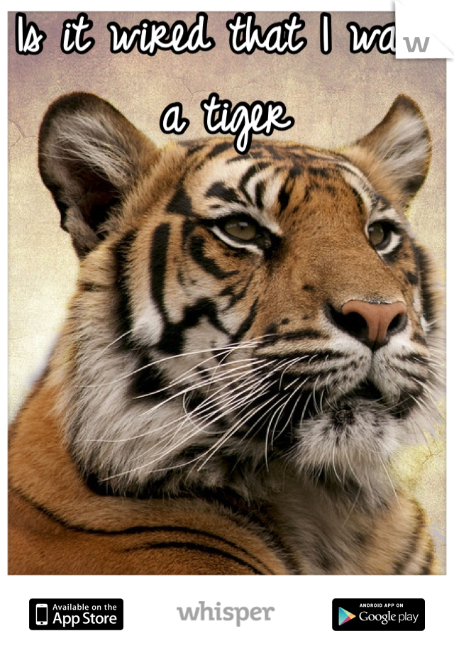 Is it wired that I want a tiger