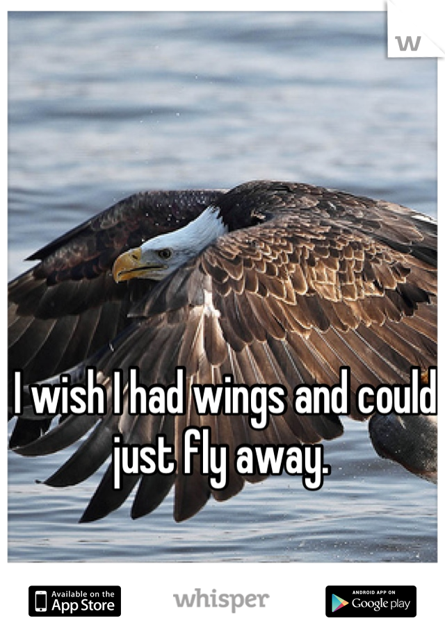 I wish I had wings and could just fly away. 