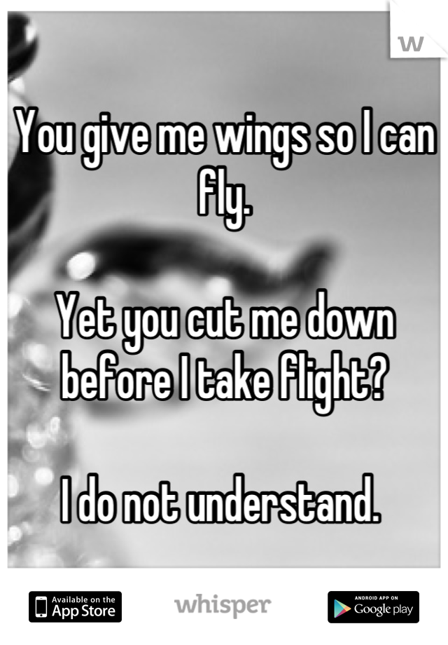 You give me wings so I can fly. 

Yet you cut me down before I take flight? 

I do not understand. 