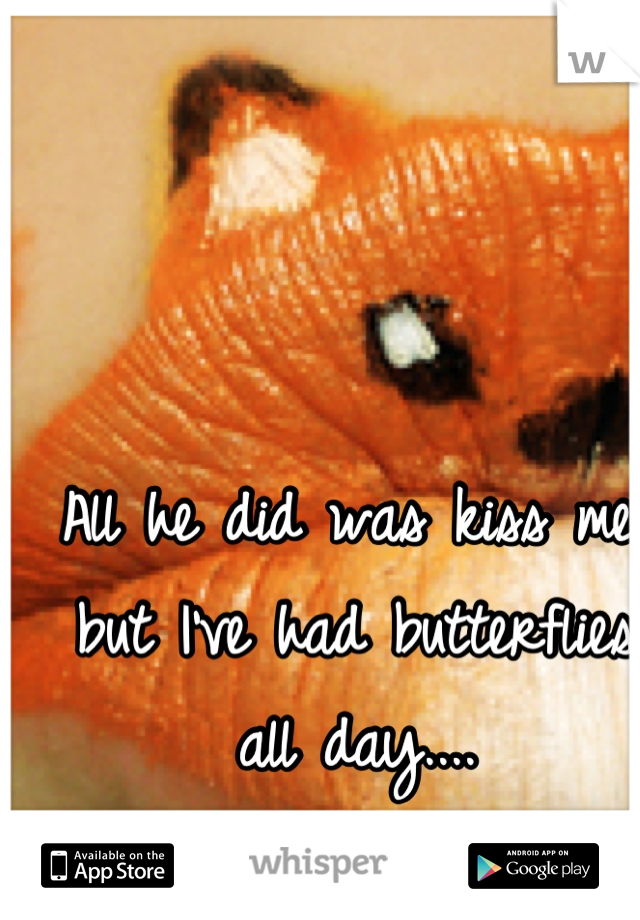 All he did was kiss me, but I've had butterflies all day....