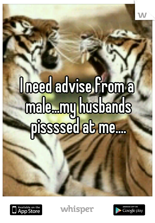 I need advise from a male...my husbands pissssed at me....