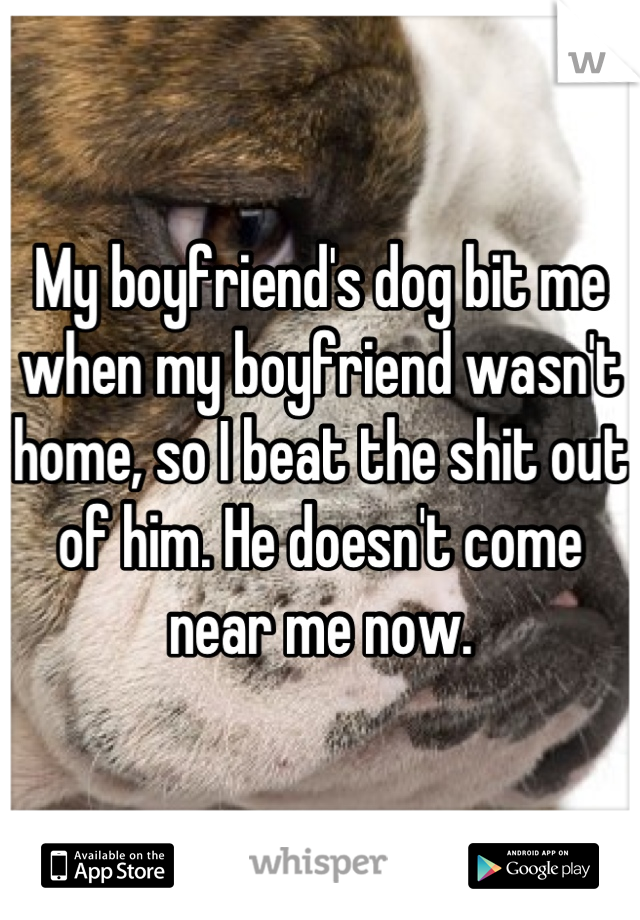 My boyfriend's dog bit me when my boyfriend wasn't home, so I beat the shit out of him. He doesn't come near me now.