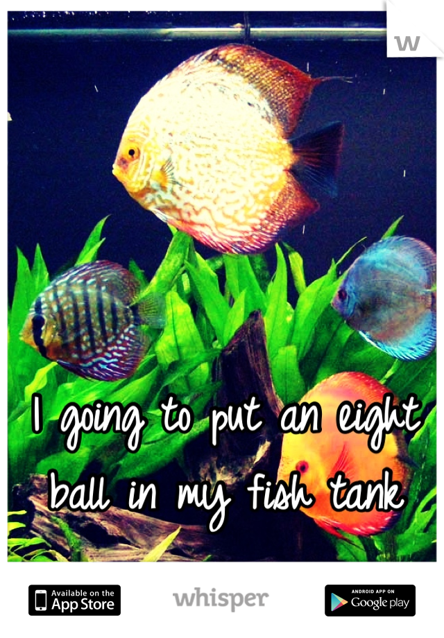 I going to put an eight ball in my fish tank