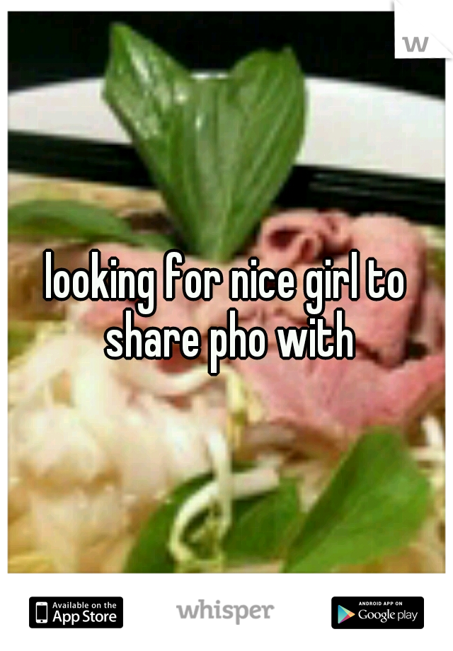 looking for nice girl to share pho with