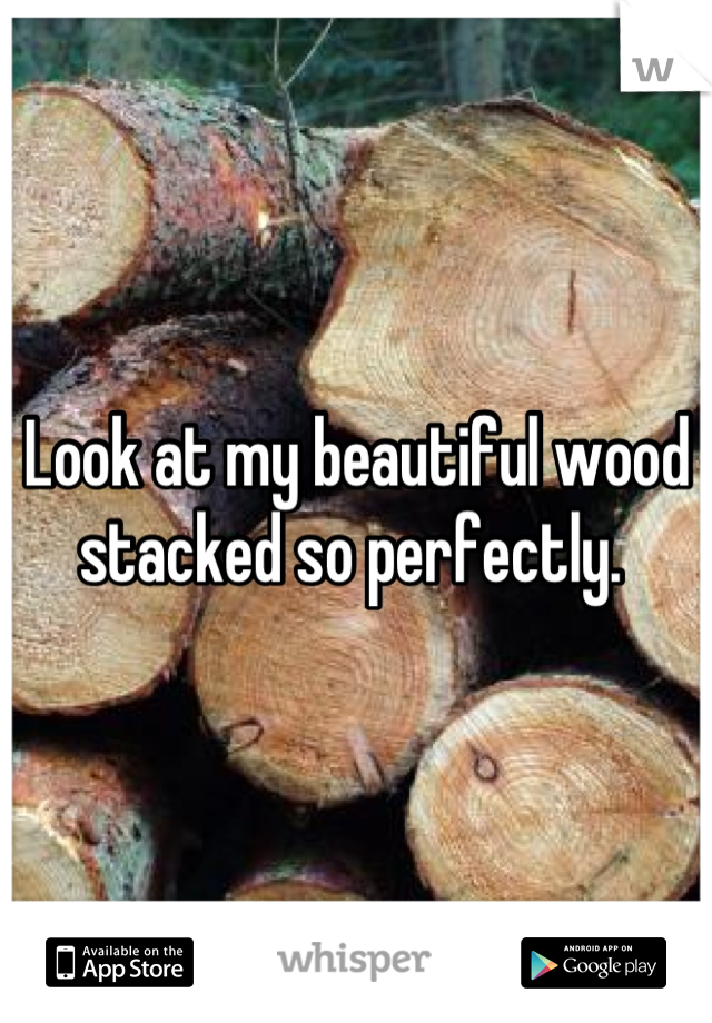 Look at my beautiful wood stacked so perfectly. 