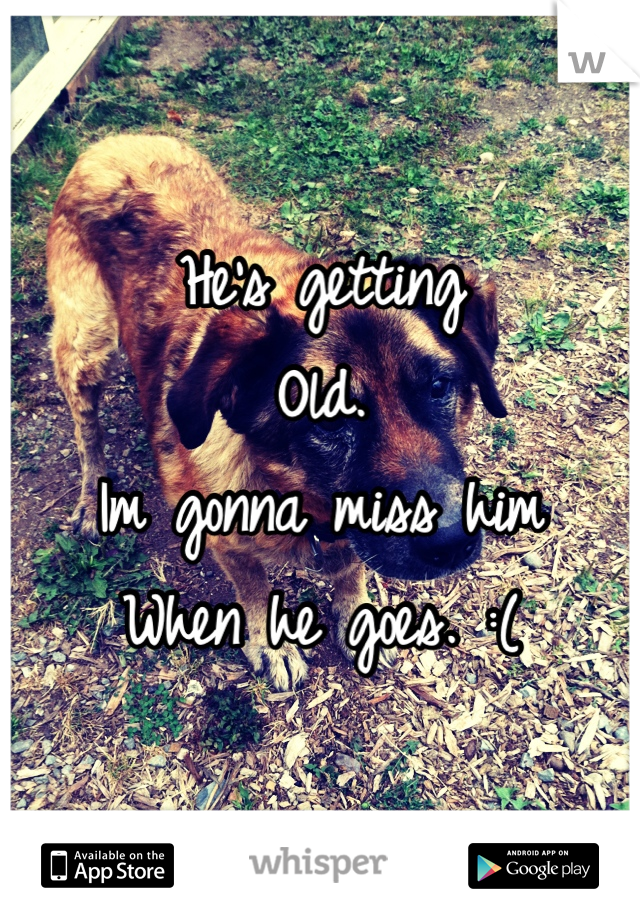 He's getting 
Old.
Im gonna miss him
When he goes. :(