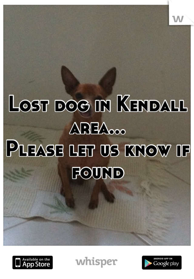Lost dog in Kendall area...
Please let us know if found