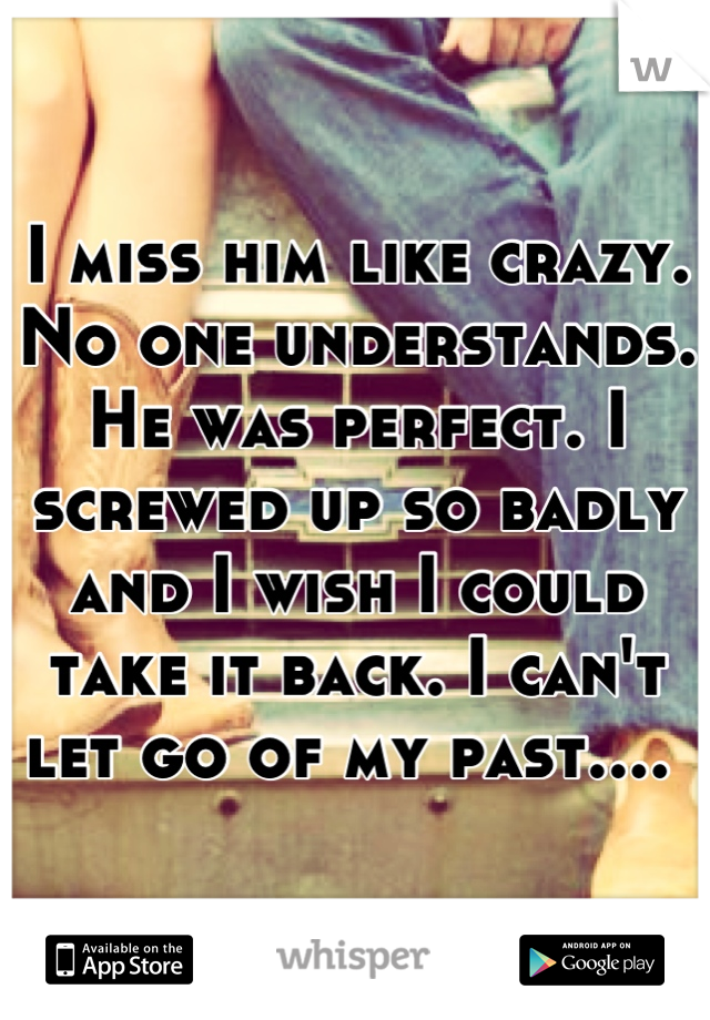I miss him like crazy. No one understands. He was perfect. I screwed up so badly and I wish I could take it back. I can't let go of my past.... 