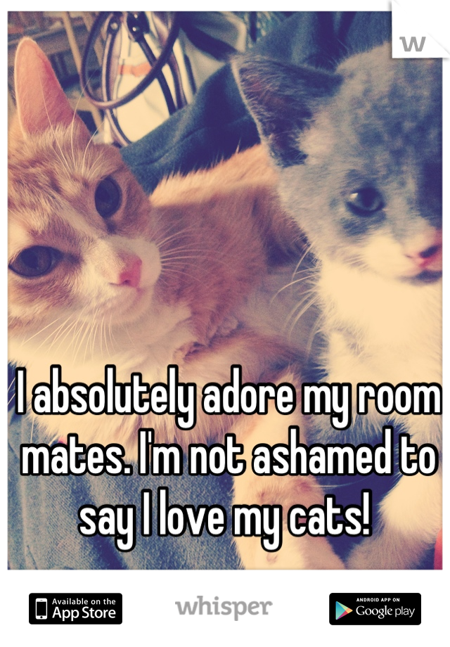 I absolutely adore my room mates. I'm not ashamed to say I love my cats! 