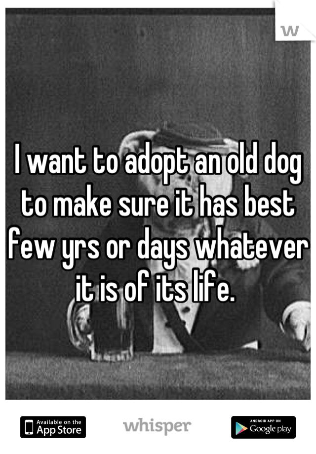 I want to adopt an old dog to make sure it has best few yrs or days whatever it is of its life. 